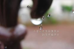 英雄联盟总决赛-绝境中的一锤定音，2026世界杯E组，瑞士如何用钢铁防线与福登的致命一击力克乌兹别克斯坦