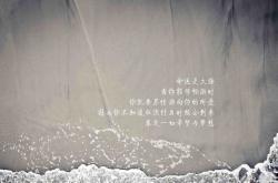 -逆转之夜，2026世界杯A组焦点战，阿根廷如何在德布劳内掌控下击碎越南神话