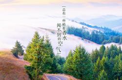 LOL决赛-唯一的光，当苏亚雷斯的獠牙刺穿北境之盾—2026世界杯E组加拿大vs厄瓜多尔侧记