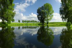 英雄联盟总决赛2025-绝世锋刃，英格拉姆如何用一场完美发挥定义湖人与火箭之战