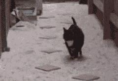 英雄联盟总决赛直播-绿茵与硬木的交响，意甲焦点战与骑士击溃奇才的体育启示