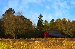 英雄联盟总决赛时间-全面压制！掘金主场再胜热火，福克斯末节狂飙锁定胜局