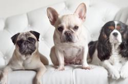 -独步天下！恩比德50+燃动费城，书写当代中锋唯一性传奇