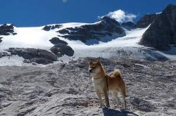 英雄联盟总决赛2025-双重战役，詹姆斯在焦点战证明自己，独行侠淘汰赛过关勇士