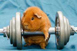 英雄联盟总决赛门票-一剑西来，伦纳德绝杀背后的冷酷博弈与命运玄机