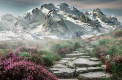 LOL决赛-光芒与暗影，比利亚雷亚尔战术铁幕如何窒息摩纳哥，拉什福德凭一己之力撕裂防线