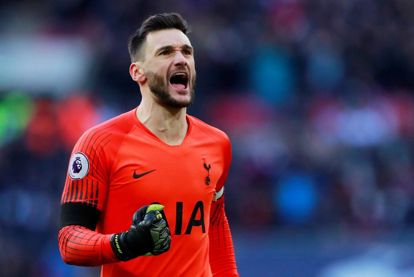 包含葡萄牙队逆转韩国队,张继科状态火热的词条 包含葡萄牙队逆转韩国队,张继科状态火热的词条