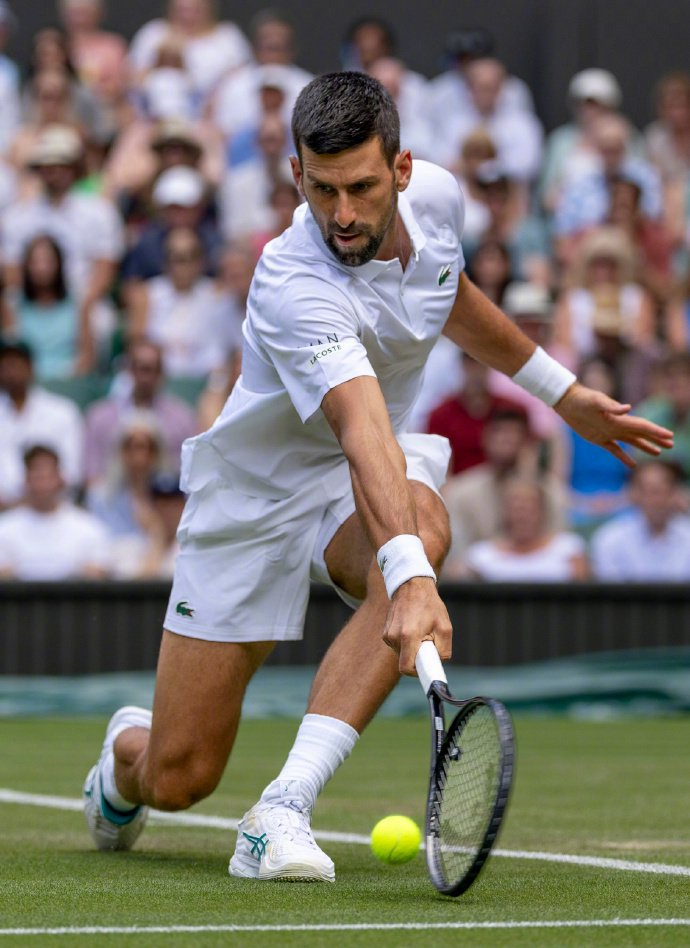 戴维斯杯轻取美网,德约科维奇状态火热 戴维斯杯轻取美网,德约科维奇状态火热