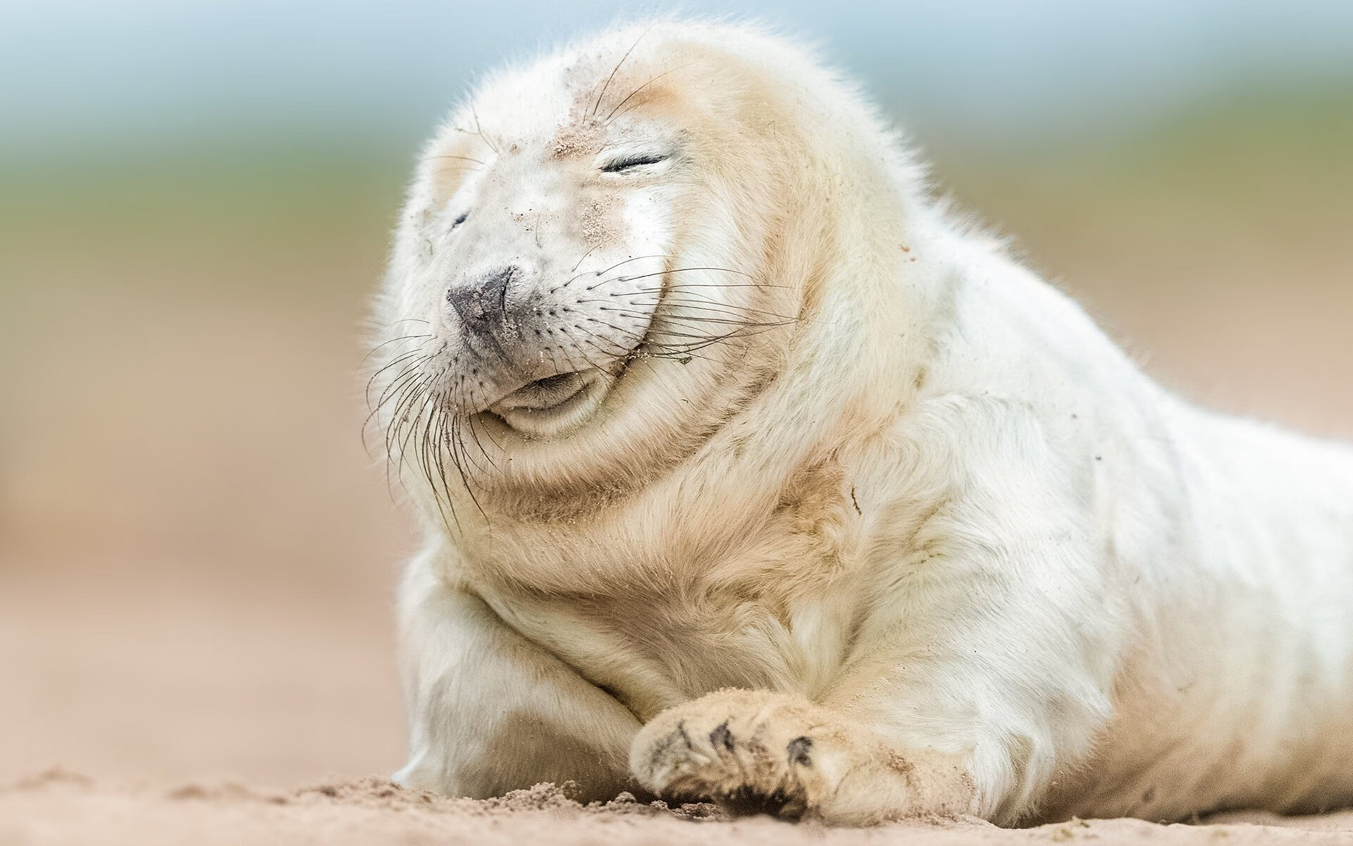 乔治的杀戮艺术,浙江队淘汰赛击溃骑士