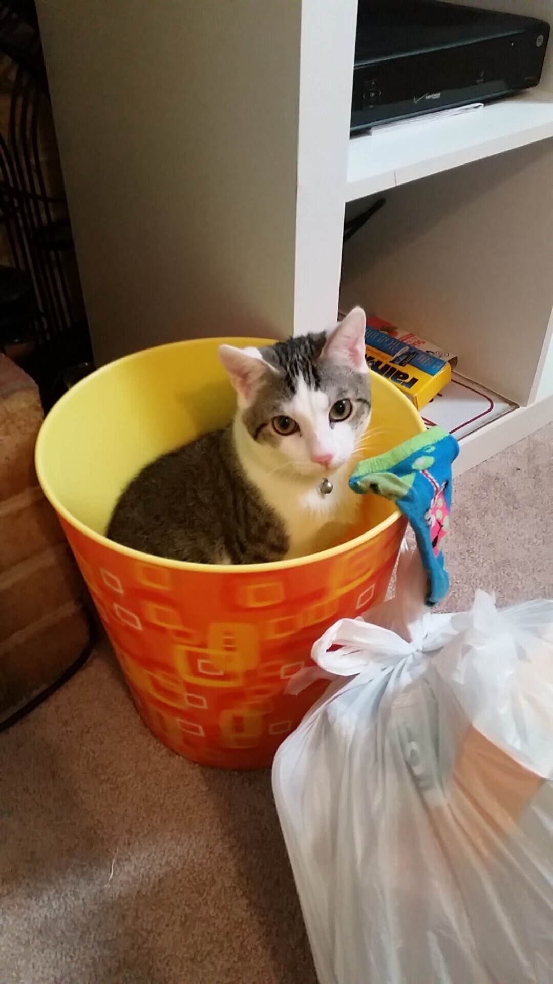 赛场上没有偶然,拉什福德利刃出鞘,加拿大铁幕镇敌