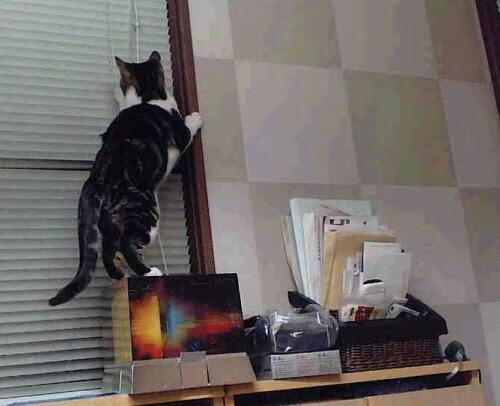 跨越时空的大心脏,关键时刻接管比赛的基因密码