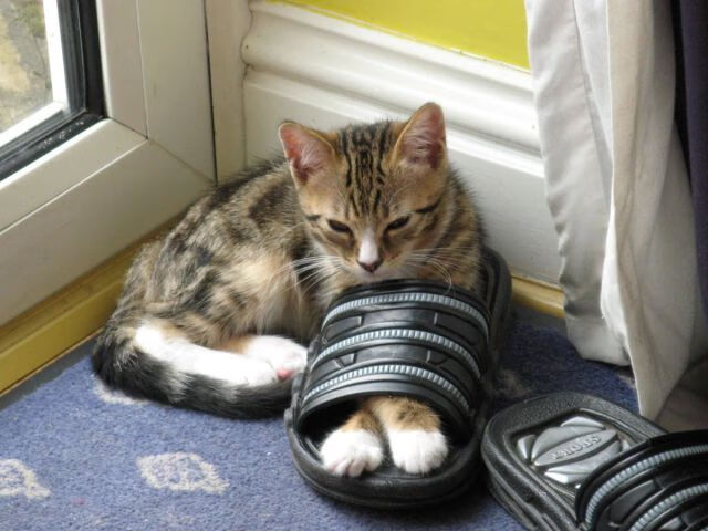 战术棋局,罗马的文艺复兴如何让马德里竞技的钢铁洪流黯然失色