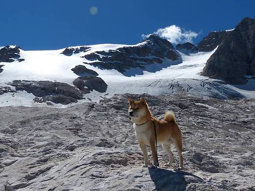 双重战役,詹姆斯在焦点战证明自己,独行侠淘汰赛过关勇士
