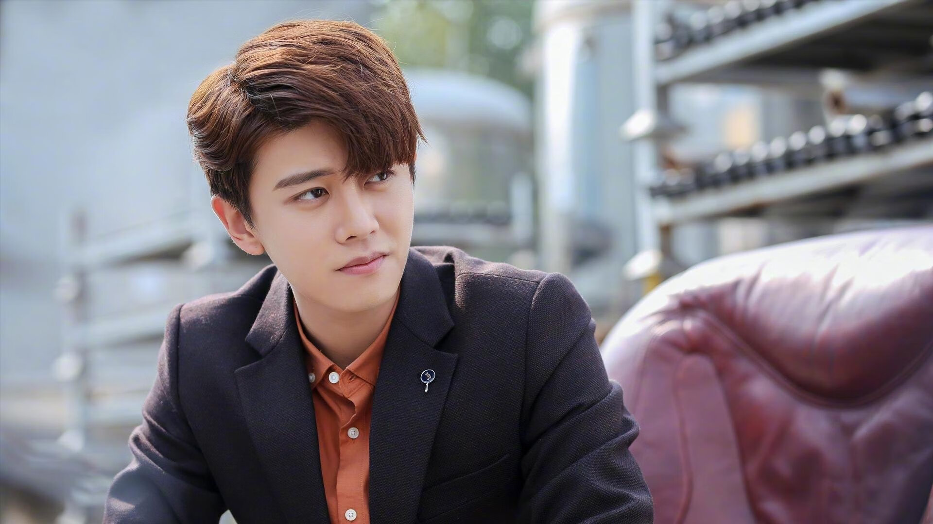 个人英雄主义之死，丹麦机器何以肢解迪亚斯定律？