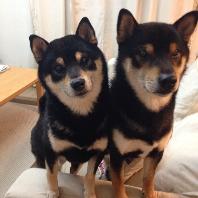 间隔十分钟的平行宇宙,当76人的团队雪崩遇见班凯罗的个人决堤