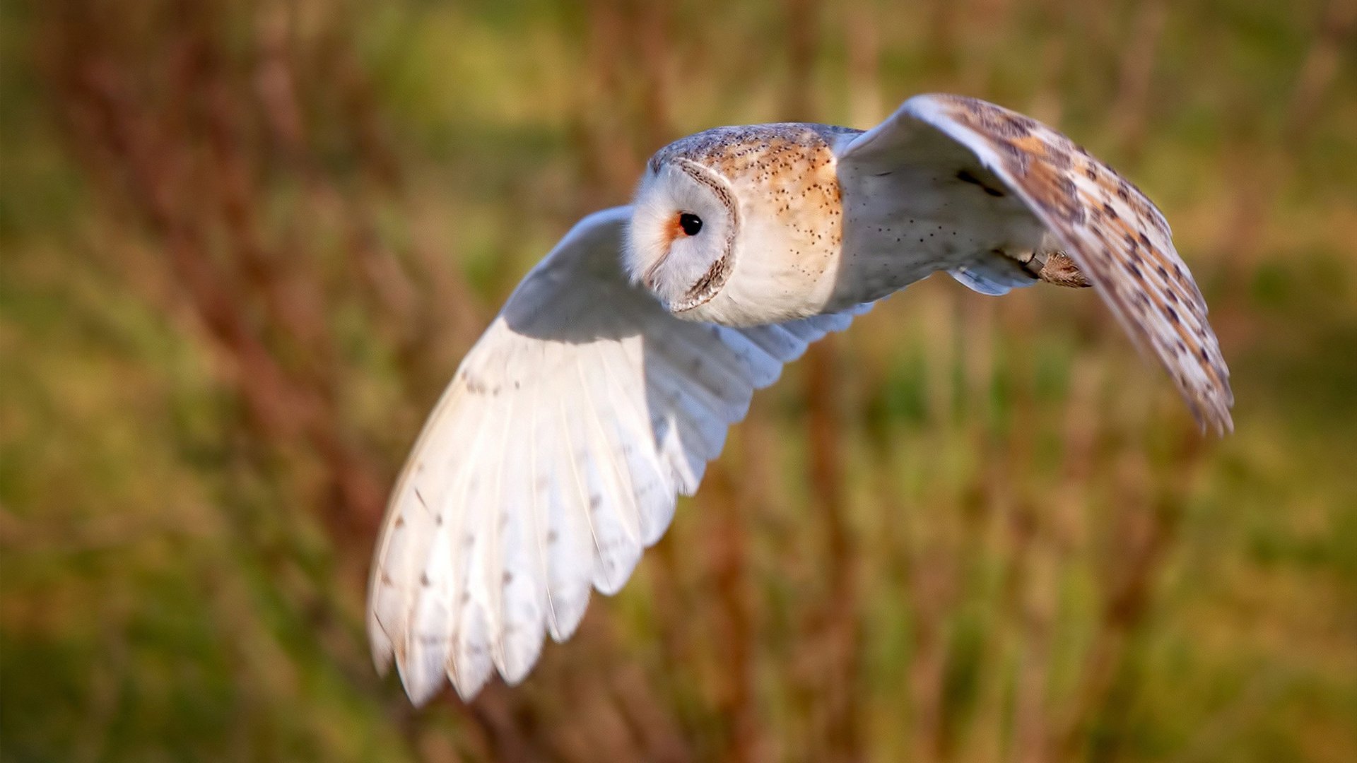 次元破壁，当魔术队的战术版上浮现出山西二字—2024篮球哲学的奇幻交锋