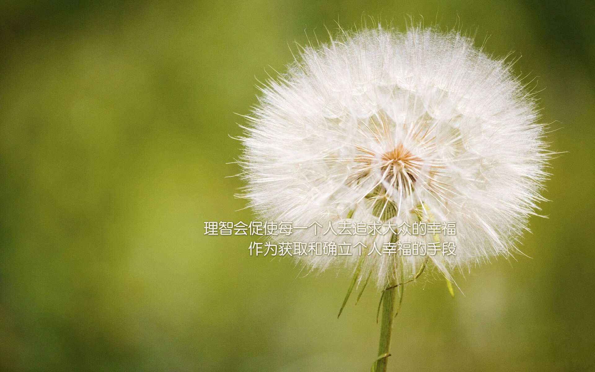 双核时代的另类解读，森林狼的甜蜜复仇与恩比德的世界杯绝唱，如何共同定义篮球的唯一性？