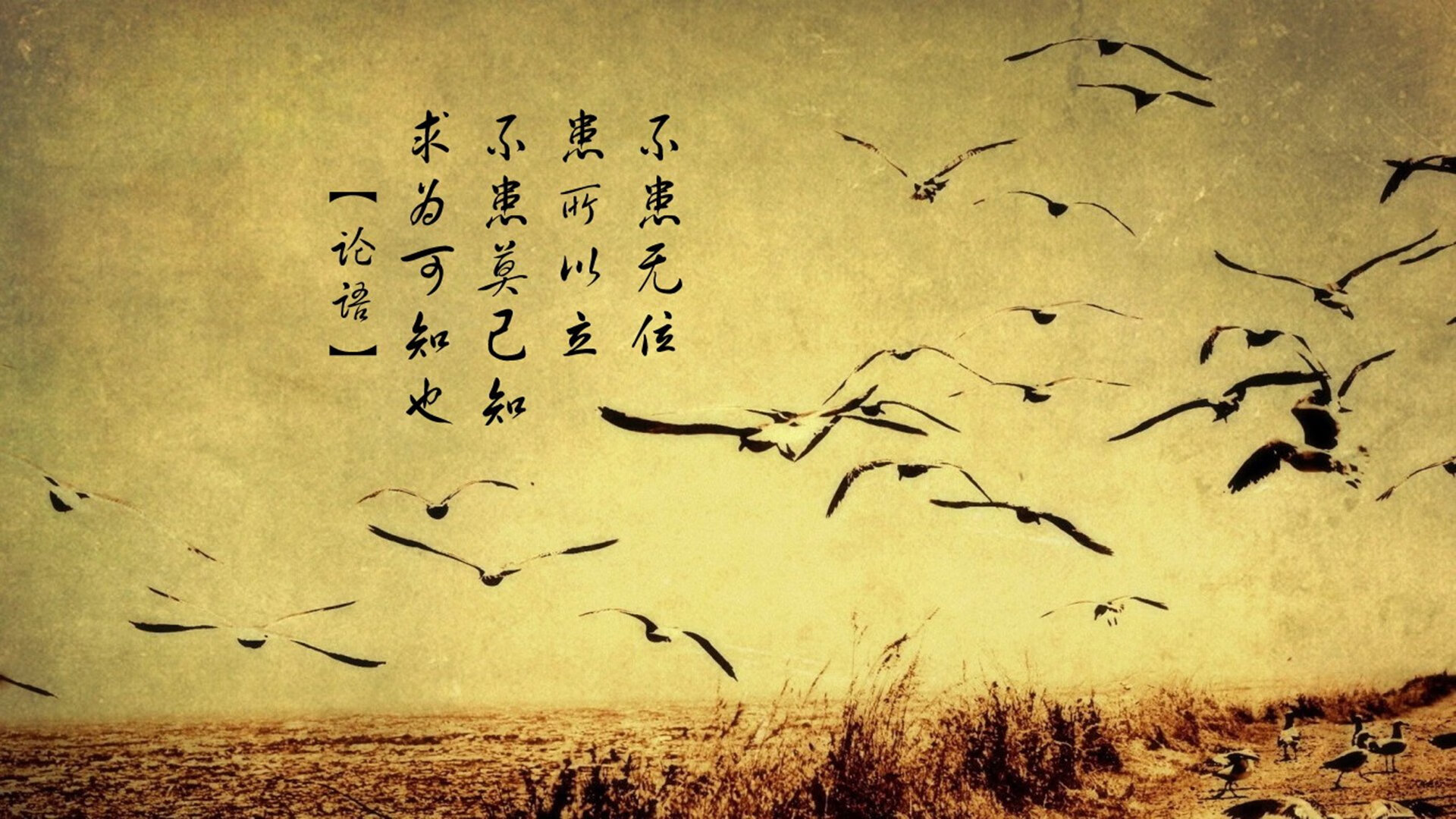 白与黑的交响，当塞维利亚碾碎南非，维尼修斯在废墟上暴走