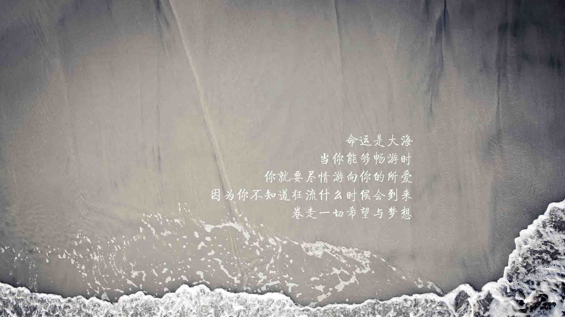 逆转之夜，2026世界杯A组焦点战，阿根廷如何在德布劳内掌控下击碎越南神话