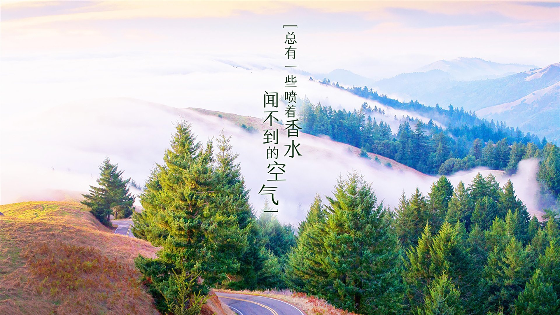 唯一的光，当苏亚雷斯的獠牙刺穿北境之盾—2026世界杯E组加拿大vs厄瓜多尔侧记