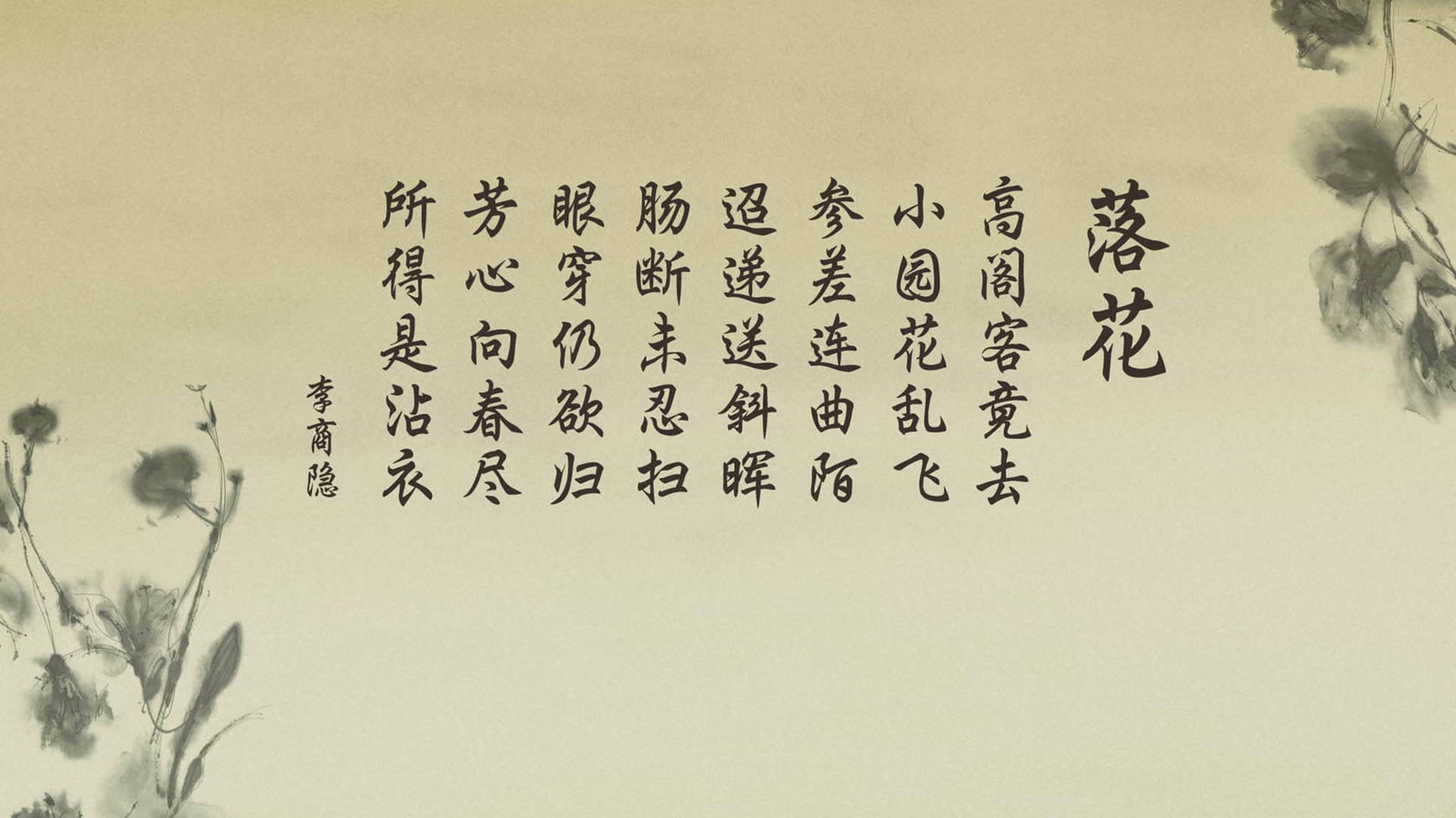 当大象踏平郁金香,2026世界杯C组,一场被替补席点燃的颠覆之夜